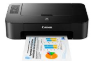Canon PIXMA TS202 Drivers Download